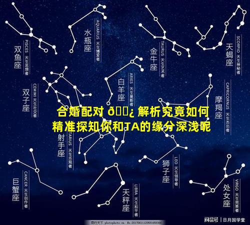 合婚配对 🌿 解析究竟如何精准探知你和TA的缘分深浅呢